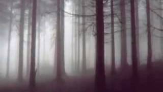 Beautiful Gothic Music [Piano] - The Cry of the Forest