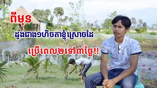 #ជាកម្មកររោងចក្រផងមើលថែចម្ការដូងឱ្យប្អូនផង