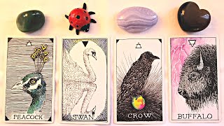 💚💖 HOW ARE THEY FEELING ABOUT YOU RIGHT NOW?? 🎁 Detailed PICK A CARD Timeless Love Tarot Reading