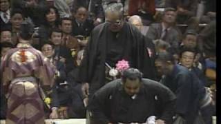 Playtube Pk Ultimate Video Sharing Website