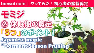 【苗木で作る】モミジ盆栽②休眠期の剪定5つのポイント｜Japanese maple “Dormant Season Pruning”／bonsai