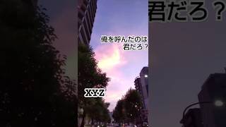 新宿といえばこの曲(?)眠らない街 #新宿 #新宿駅 #新宿駅東口 #新宿駅西口 #東新宿 #西新宿 #歌舞伎町 #東京都庁 #都庁 #東京都庁ライトアップ #都庁ライトアップ #新宿の夜景 #夕日