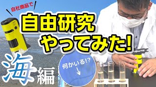 【ハンディ顕微鏡DX】自社商品で自由研究やってみた！海編　夏休みの自由研究に！海で採取した微生物を観察してみました！【自由研究】