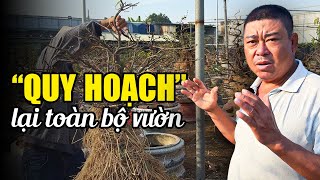 ☎️ Cuộc gọi BẤT NGỜ! - Tiến Độ Quy Hoạch Vườn – Ngắm chi tiết từng cây Tầm Trung Đẹp Nhất!