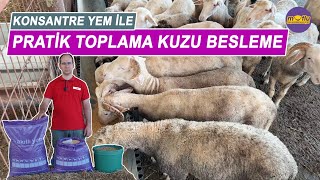 Konsantre Yem İle Pratik Toplama Kuzu Besleme | Akıllı Yem 42 HP Efsane Konsantre Kuzu Besi Yemi