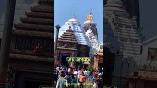 জয় জগন্নাথ 🙏⭕❗⭕🙏 ঠাকুর সবাইকে ভালো রেখো 💗 #shorts #jagannath #god