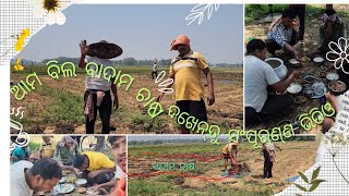 ଆମ ଗାଁ ଖେତରେ ବାଦାମ ଚାଷ || my village farming peanuts 🥜🥜🥜 check full video #village #youtube