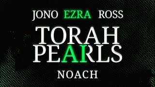 Torah Pearls: Noach