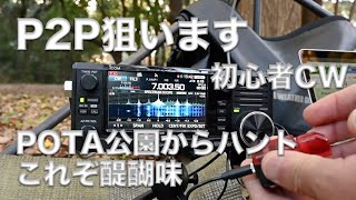 P2P Park to Park 狙い 公園からハンティング！ 10Wだけど逆V型フルサイズDPで頑張る！ 初心者CW 7MHz 2024/12/01 アマチュア無線 VLOG 577