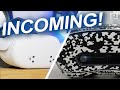 The Biggest QUEST competitor Just LEAKED! v67 is Official and AVP Turns to Gaming?