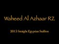 waheed al azhaar rz july 2021