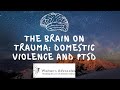 Brain on Trauma: Domestic Violence and PTSD