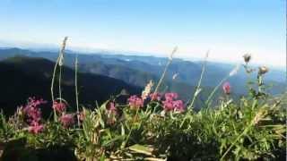 部子山2012年8月1日