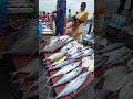 busy kasimedu fish market chennai. big fishes. fish market women food foodie viralshorts