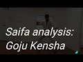 sample of goju kensha saifa bunkai oyo