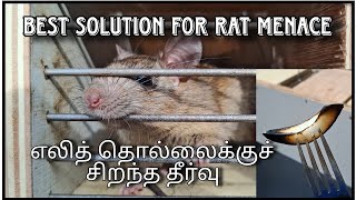 Eli Pori | Rat Trap | Best Solution for Rat Menace | Tamil | Deva KS | எலி தொல்லைக்கு தீர்வு #mouse