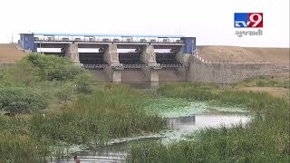 Bhavnagar: Water crisis gives rise to crop failure, farmers worried-Tv9