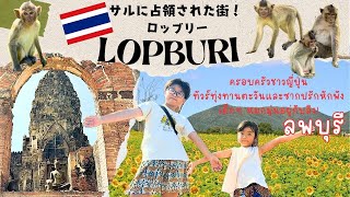 【タイ】猿の街ロッブリーに子供たち大興奮♪今が見ごろのひまわり畑も！ลพบุรี｜LOPBURI