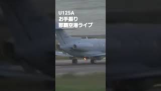 U125A　お手振り　那覇空港ライブ【ちんあなご】