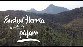 Euskadi a vista de pajaro 4k