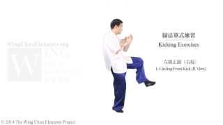 Basic Wing Chun Kicking Training (詠春腳法介紹)