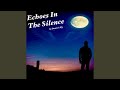Echoes in the Silence