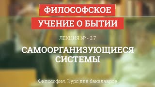 3.7 Самоорганизующиеся системы - Философия для бакалавров