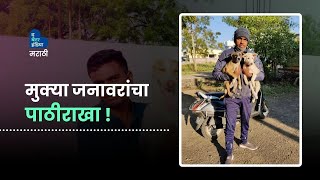 मुक्या जनावरांचा पाठीराखा-देवाशीष तागडे | Animal Lover | Rescue | Nagpur