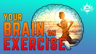 What Does Exercise Do To Your Brain?