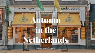 Netherlands Diaries/ Trying McPlant, Coronavirus entry pass, cooking, Cheese shop, A week in my life