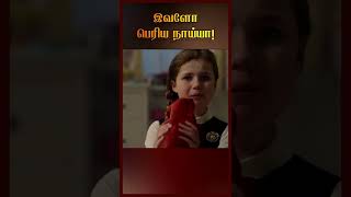 இவளோ பெரிய நாய்யா! | #shorts #youtubeshorts #trending #filmfeathers