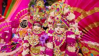 श्री हित राधा केली कुंज राधा नाम कीर्तन।