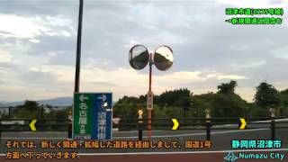 【車載】[E1A]新東名 駿河湾沼津SA→国道1号沼津BP　From road station of SHIN TOMEI EXPWY  to R1  Numazu