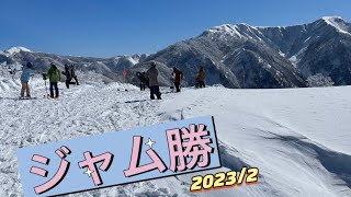 スキージャム勝山　2023年２月の景色　美しい雪景色　#スキージャム勝山  #スキー場