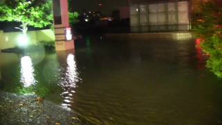 2011年 台風15号 宮城県仙台市の大雨と七北田川増水による洪水被害