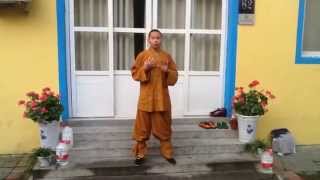 Qi Gong morning session by Master Shi Yan Jun