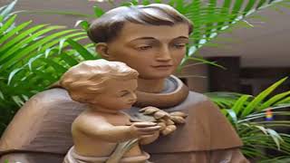 நாள் 03 - புனித அந்தோணியார் நவநாள் - DAY 03 - ST.  ANTONY OF PADUA NOVENA