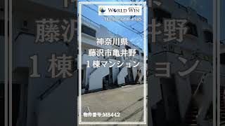 神奈川県藤沢市　不動産投資用一棟マンション紹介 #shorts #不動産投資 #マンション経営 #物件紹介 #投資 #不動産収入 #不動産会社