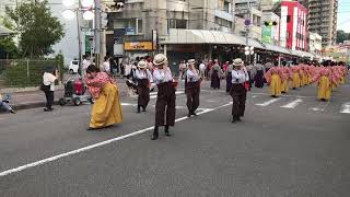 2019  まいや  升形競演場  ②  よさこい祭り  2日目