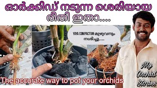 ഓർക്കിഡ് നടുന്ന ശെരിയായ രീതി ഇതാ....#orchid