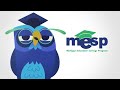 MESP Wise Owl