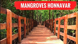 Sharavathi Kandla Mangrove Boardwalk | Honnavar Mangrove