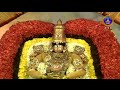 suryaprabha vahanam srivari varshika brahmotsavalu 2024 tirumala 10 10 2024 svbc ttd