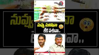 నువ్వు మనిషివా లేక పశువా😡😡#cmchandrababu #ysjagan #ycpp #tdp  #publictalk2025 #apnews #leonews