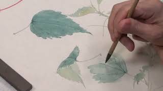 扶桑花没骨创作第二部分 ｜ Traditional Chinese Painting: Rose of Sharon part 2  千竹書院 方嚴