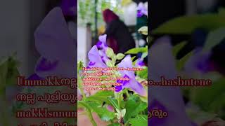 അടുക്കളയിൽ നിന്ന് ഞാൻ എഴുതുന്ന വരികൾ #song