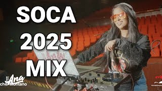 Soca 2025 Mix - DJ Ana Sunglasses and Soca Pt.1 (Groovy) NAPA