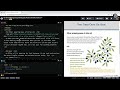 Challenge: Explaining CSS Specificity | Test Your CSS Knowledge