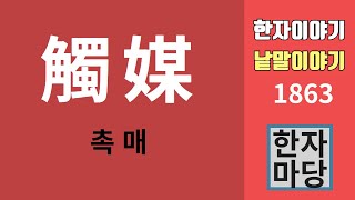 한자이야기 #1863 촉매 이야기...  '촉매(觸媒)의 뜻과 유래?