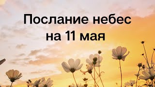 Послание небес на 11 мая. Семейное согласие.